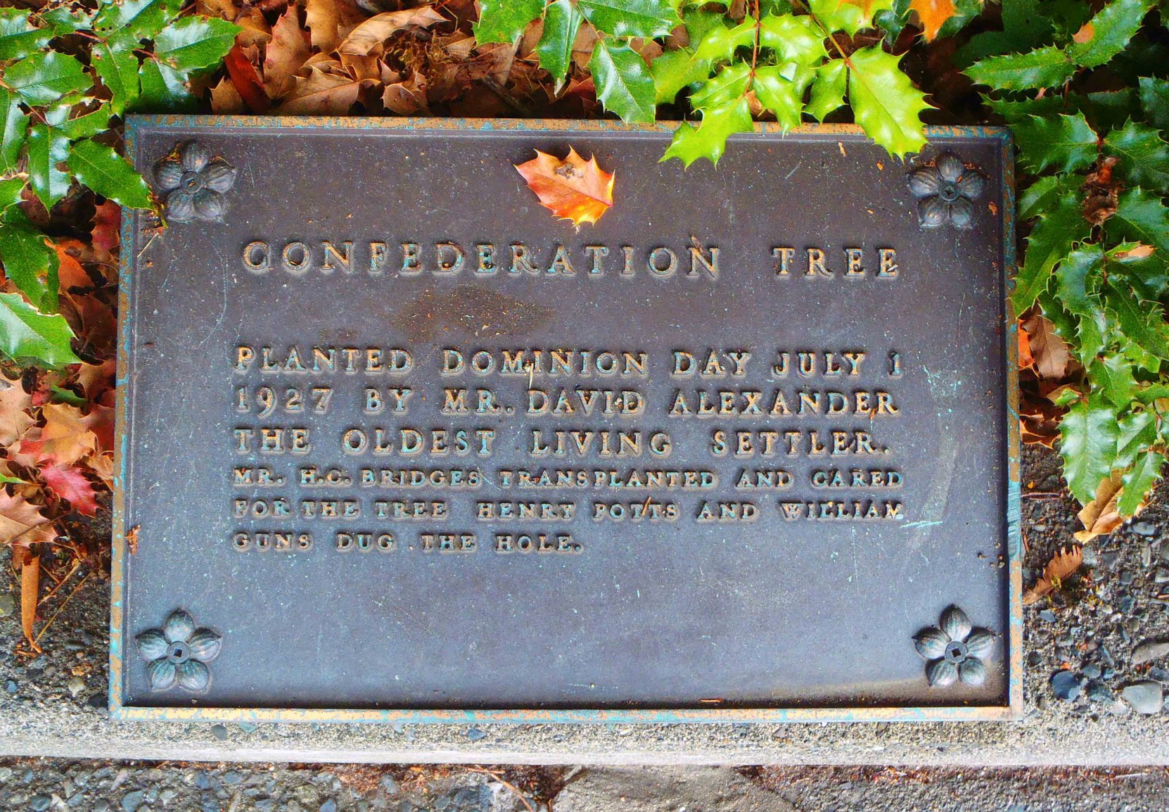 Confederation Tree commemorative plaque, Government Street, Duncan, B.C.