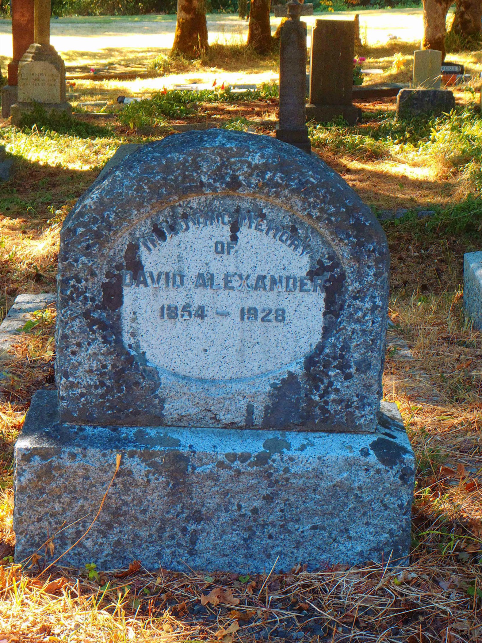 David Alexander grave stone, St. Peter's Quamichan Anglican cemetery