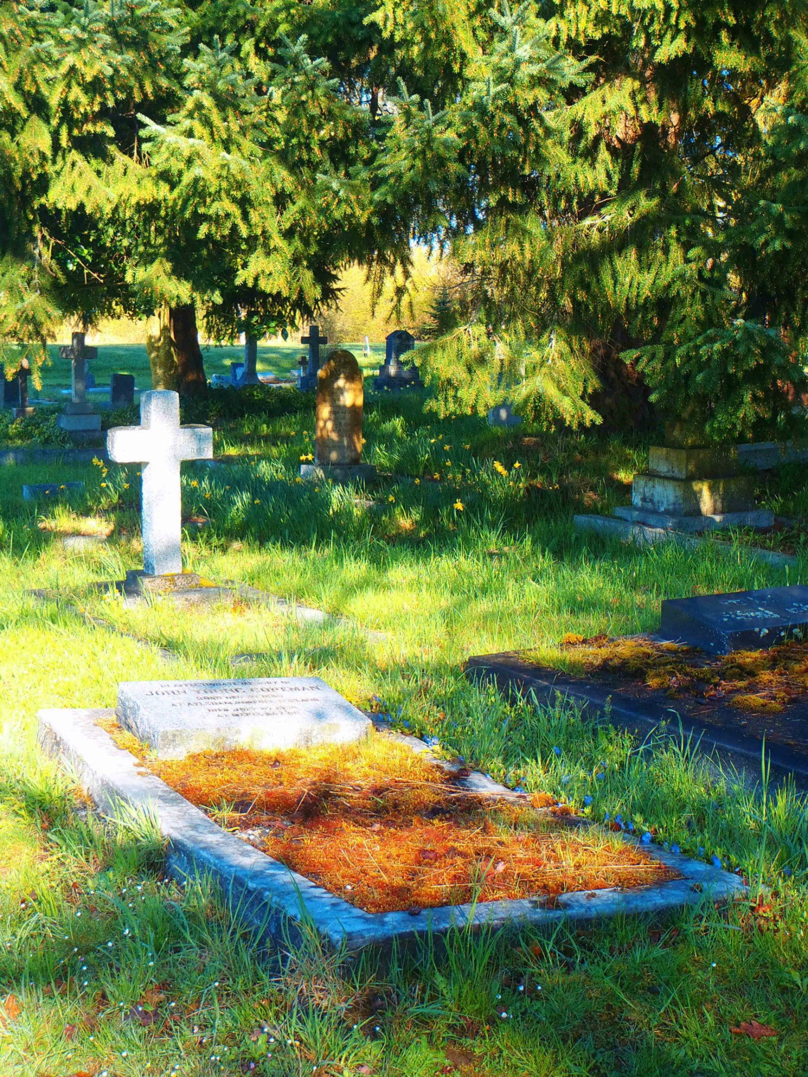 John Young Copeman, grave, St. Peter's Quamichan cemetery