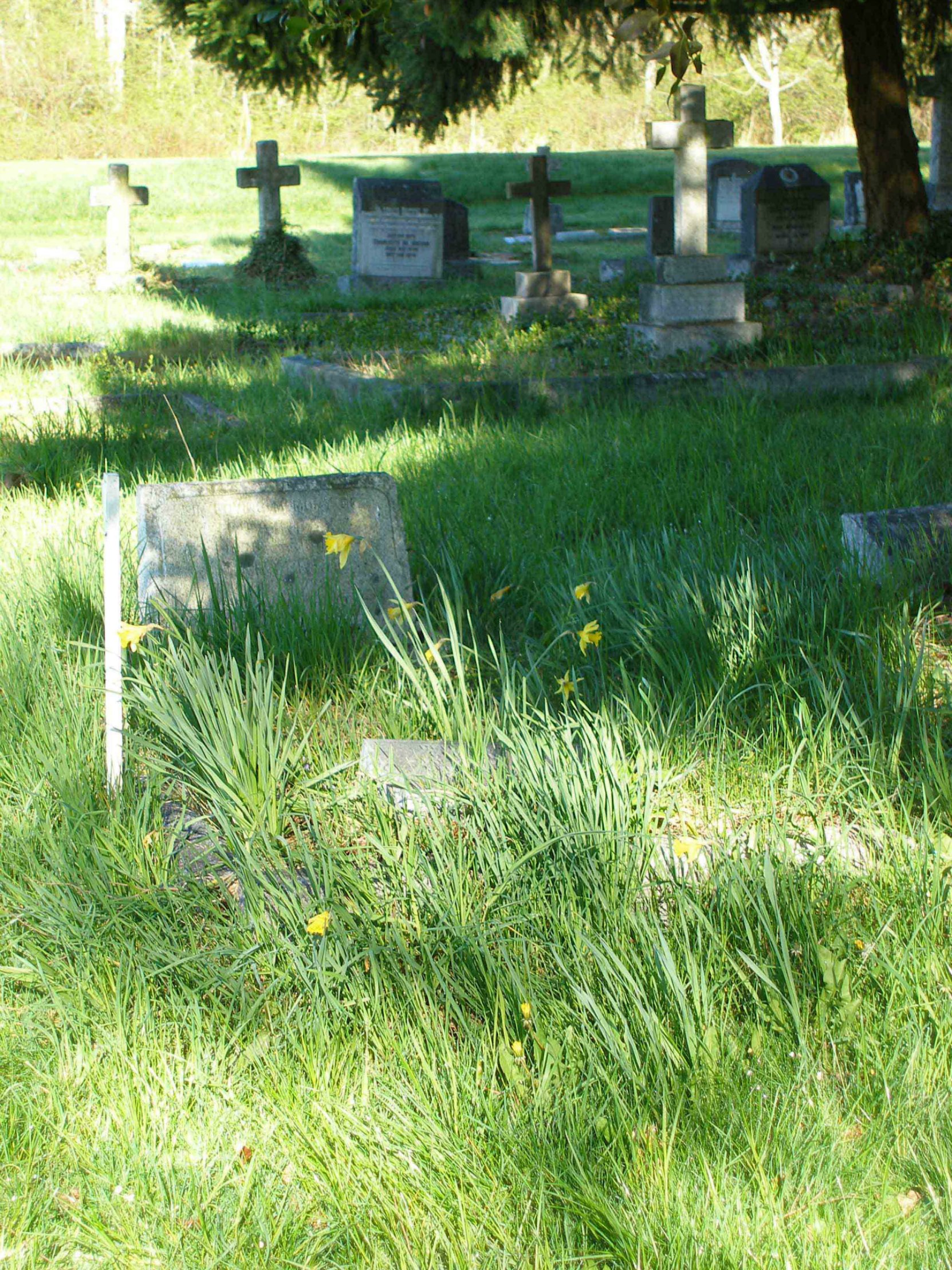 Harold Fairfax Prevost grave, St. Peter's Quamichan Anglican cemetery
