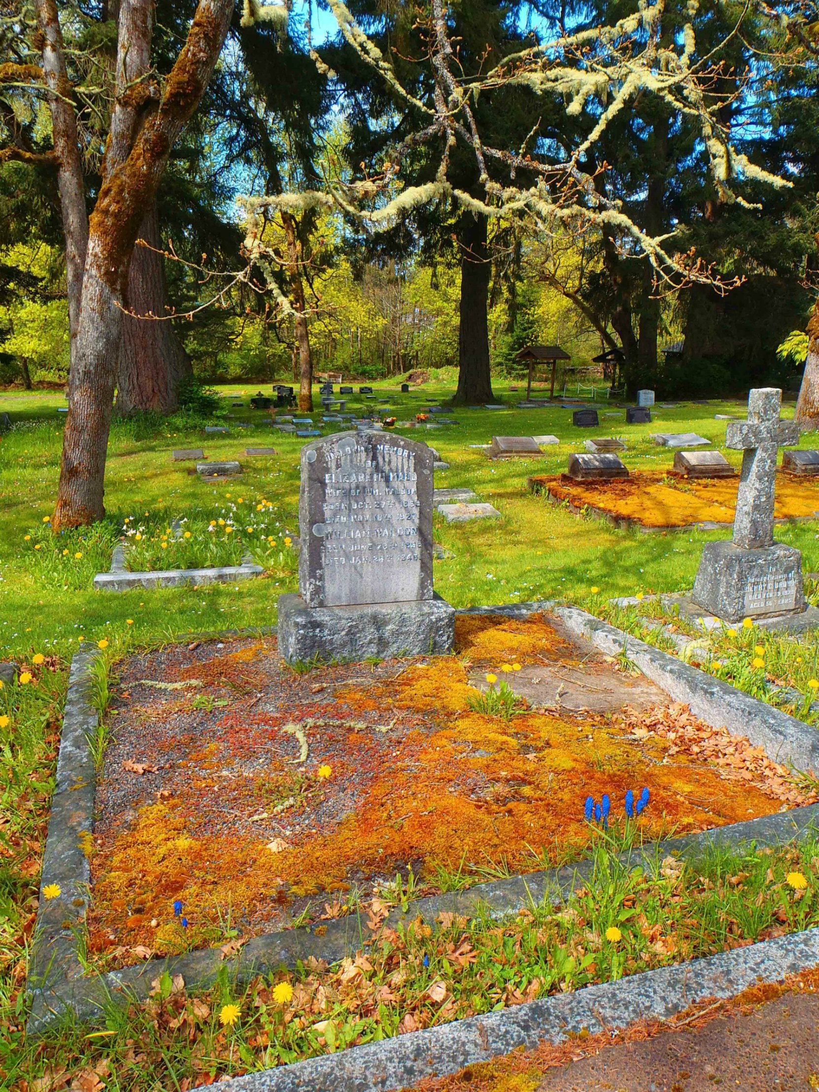 William Waldon grave, St. Peter's Quamichan Anglican Cemetery