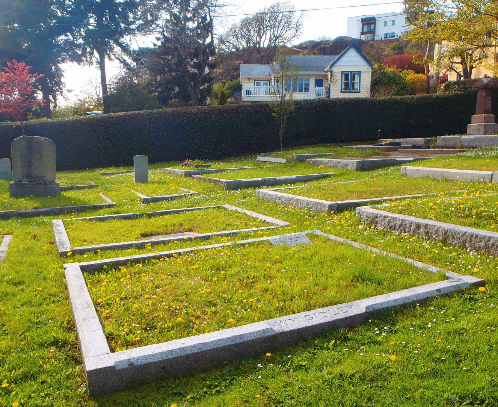 William Gidley grave, Ross Bay Cemetery, Victoria, B.C.