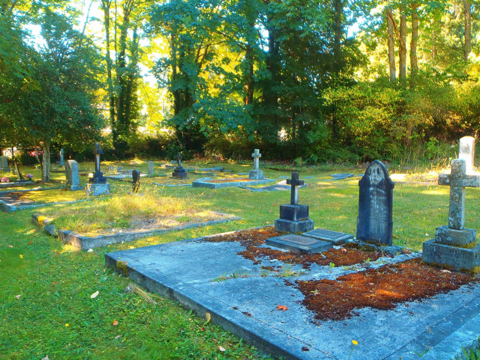 All Saints Anglican Cemetery, Westholme, B.C.