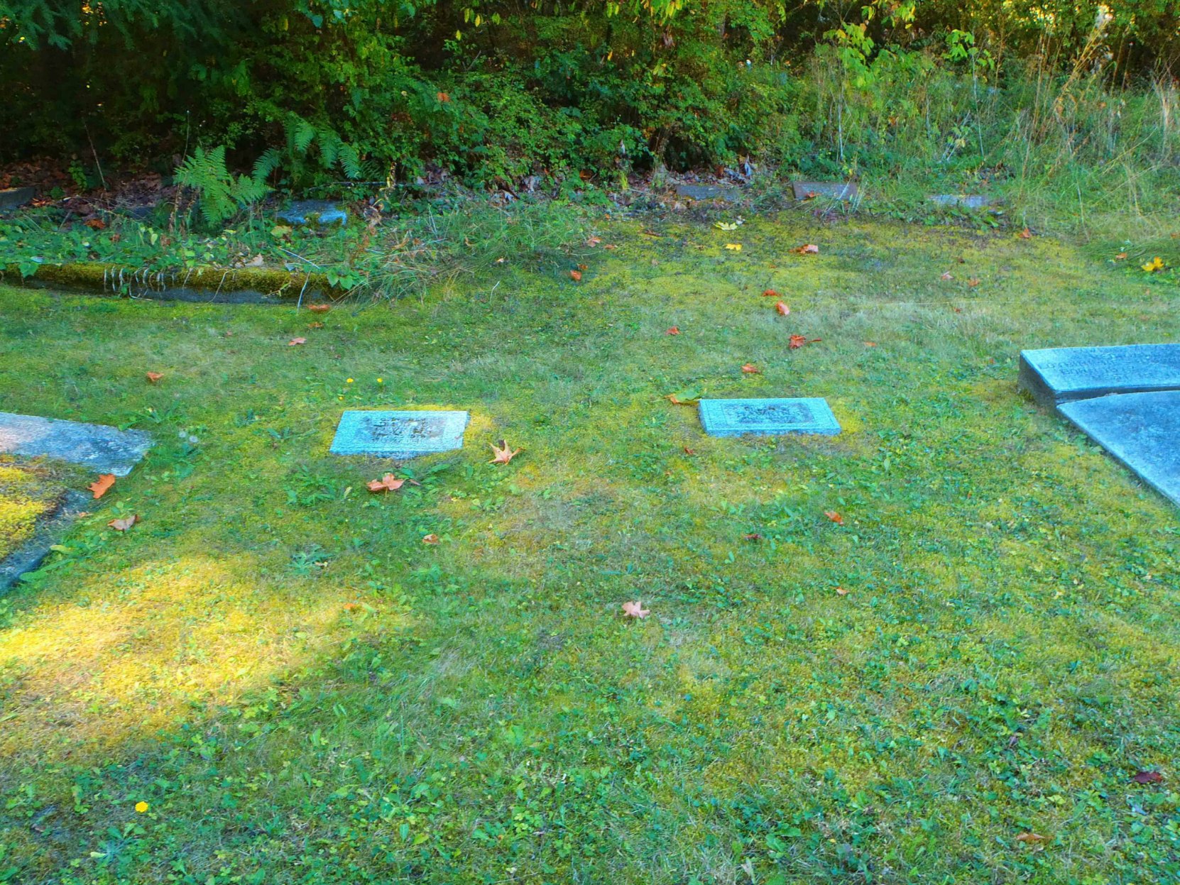 Edmund Coston Hawkins family burial plot, All Saints Anglican Cemetery, Westholme, B.C.