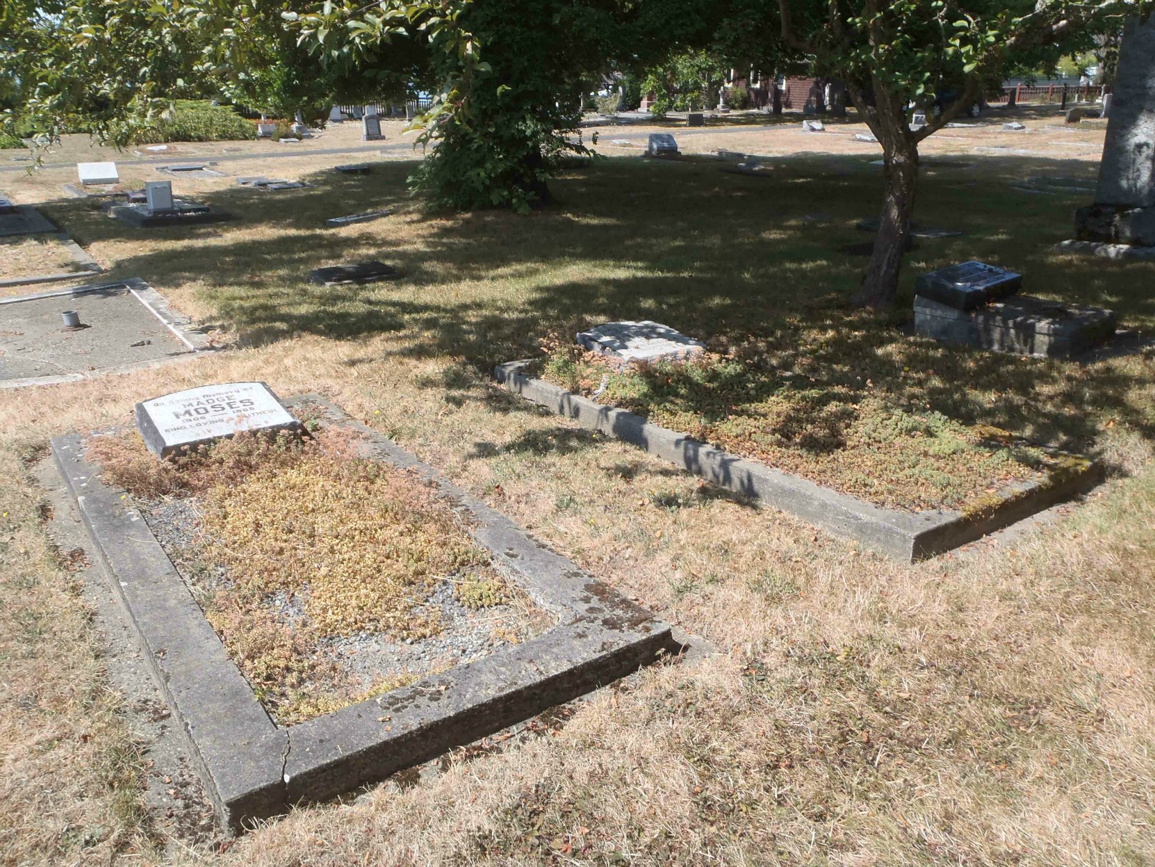 Daniel David Moses grave, Holy Trinity Anglican cemetery, North Saanich, B.C.