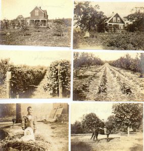 Major James Mitchell Mutter home, Somenosdale, circa 1910