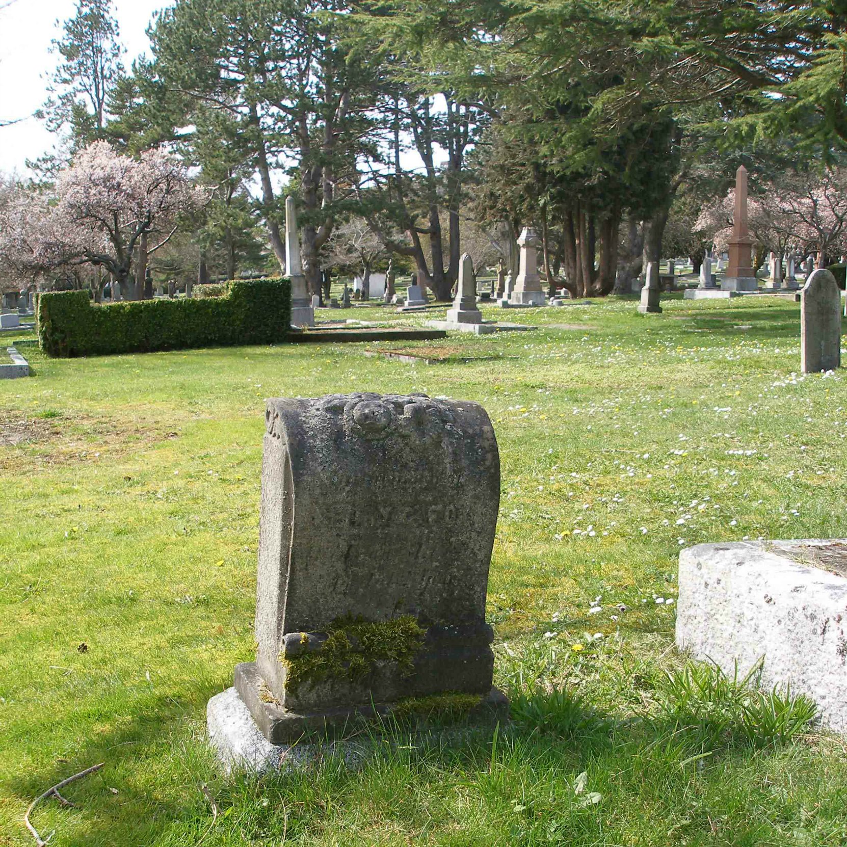 Henry George Fox grave, Ross Bay Cemetery, Victoria, B.C.. (photo by Temple Lodge No. 33 Historian)