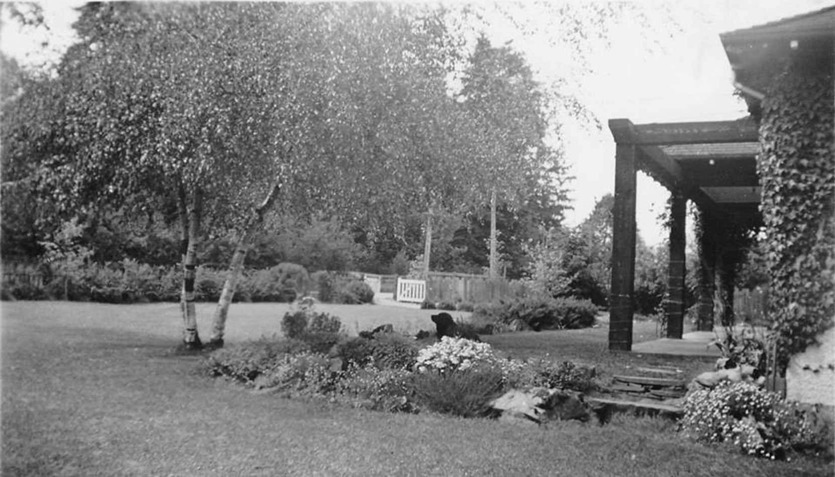 Claude Green's house at 733 Wharncliffe Road, Duncan circa 1940. Claude Green's dog Buster is visible in the center foreground. (courtesy of Claude Green's daughter Sylvia Dyer - private collection. Used with permission)