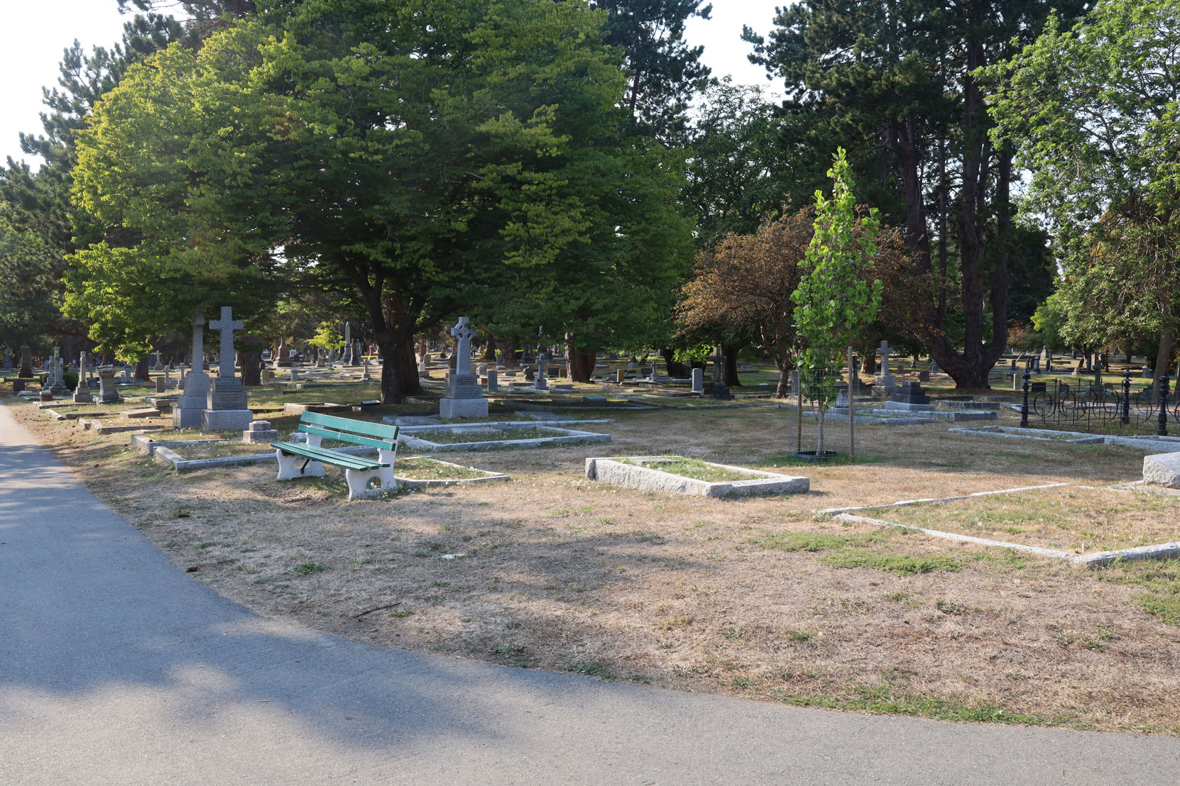 The unmarked grave site of Eli Harrison and Eli Harrison Jr., Ross Bay Cemetery, Victoria, BC (photo: Temple Lodge No. 33 Historian)